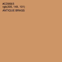#CD9565 - Antique Brass Color Image